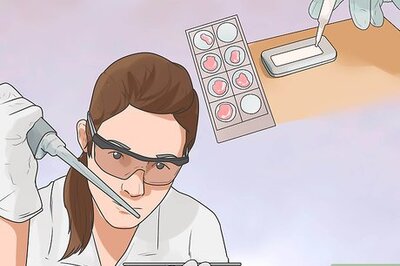 How to Treat Hypothyroidism in Golden Retrievers