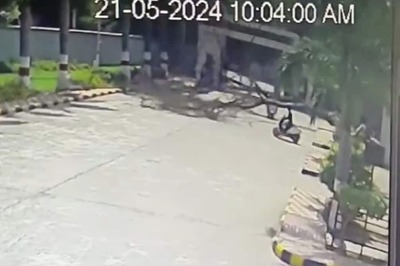 On Cam, Tree Falls on Bike-borne Couple in Hyderabad; Man Dies On Spot
