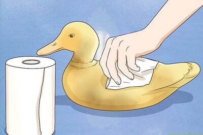 How to Paint Duck Decoys