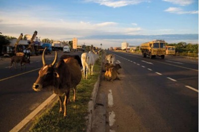 Stuck in Lockdown, French Family Waits in UP Village to Carry on Road Trip