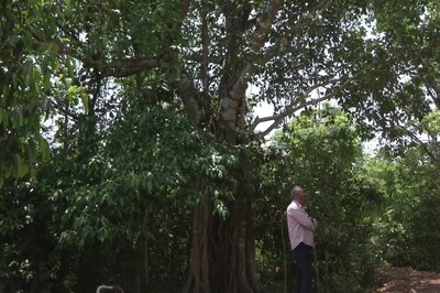 Karnataka Bizman Converts 21 Acres of Barren Land Into Dense Forest in 10 Years