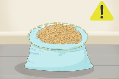 How to Store Dog Food