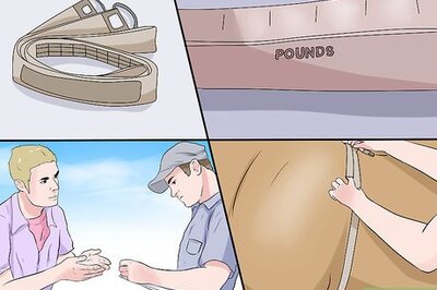 How to Use a Tape to Weigh a Horse