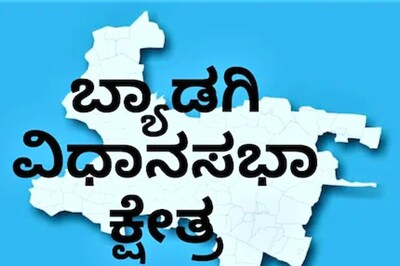 Karnataka Elections 2023: All You Need To Know About Byadgi Assembly Constituency