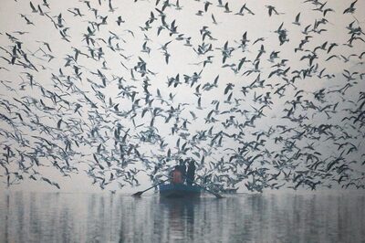 Air Pollution: Delhi's AQI Improves to 307 as Winds Sweep City; Gopal Rai to Chair High-level Meet on Curbs