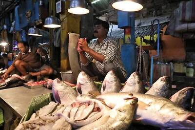 Banned Since Lockdown Last Month, Fish Sale to Begin in Goa From Monday