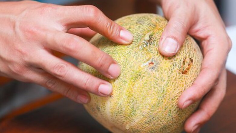 How to Buy a Cantaloupe