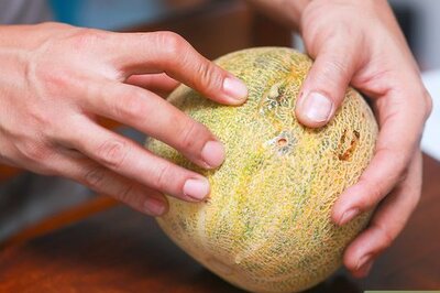 How to Buy a Cantaloupe