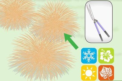 How to Prune Ornamental Grasses