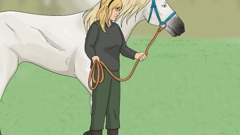 How to Ride a Horse Safely (Easy Beginners Guide)