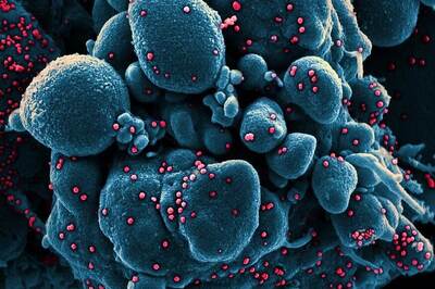 Kerala (IIITM-K) Have Developed an AI-Based Search Engine For COVID-19 Research