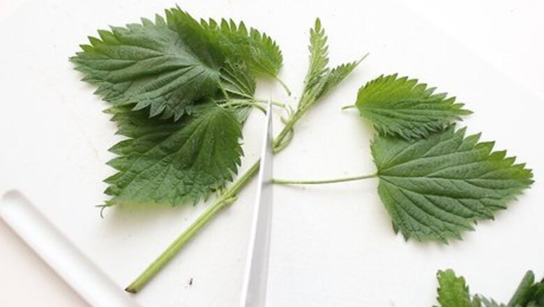 How to Eat Stinging Nettles