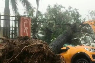 Karauli Receives Record Rainfall as Monsoon Reactivates in Rajasthan