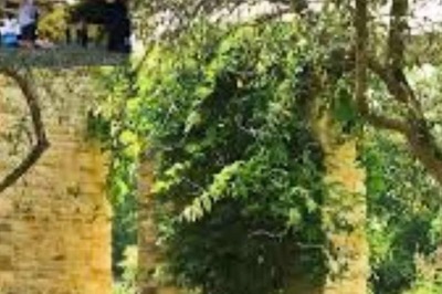 In Andhra Pradesh’s Srikakulam, Park Dedicated To Freedom Fighters Now Open To Public