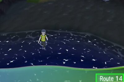 How to Catch Bruxish in Pokémon Sun and Moon