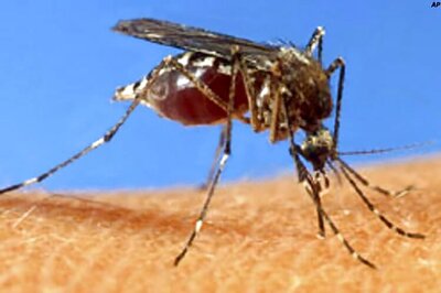 Indian scientists develop breakthrough dengue drug