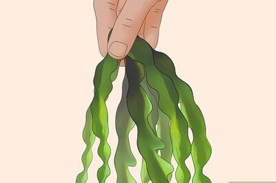 How to Use Seaweed in the Garden