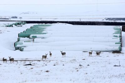 Major US Pipeline Fully Operational but Shortages Bite Deep