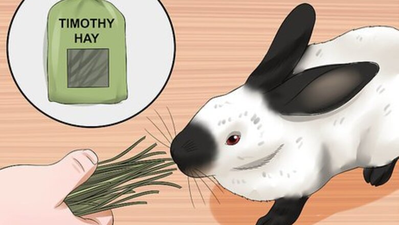 How to Care for Californian Rabbits