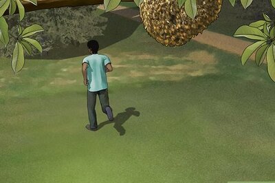 How to Escape from Killer Bees