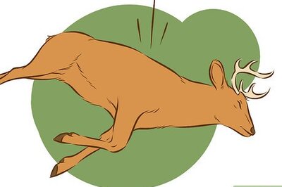How to Clean a Deer