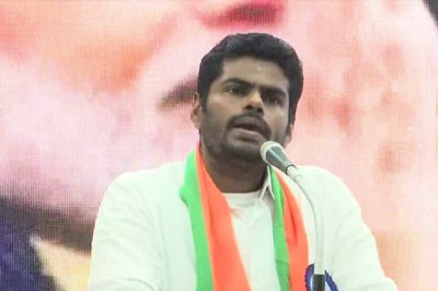 'In 2016 Stalin Himself Said...': Annamalai Slams Tamil Nadu CM For Criticism of ED Action on Senthil Balaji