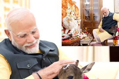 PM Modi’s Punganur Cow Love Gives Andhra Its Moo-Ment: The Breed Which Sends ‘Golden Milk’ To Tirupati Temple