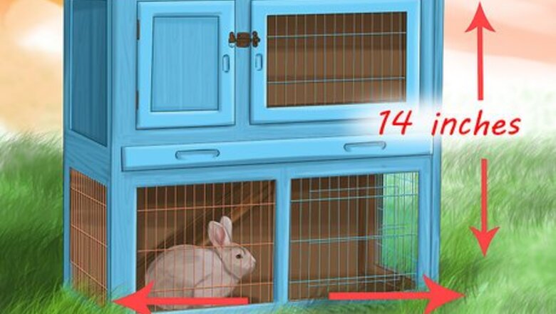 How to Choose a Rabbit Cage