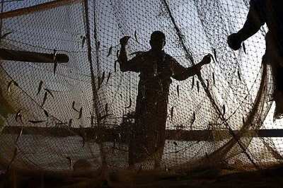 Indian envoy in Sri Lanka assures 'unstinted support' to fishermen