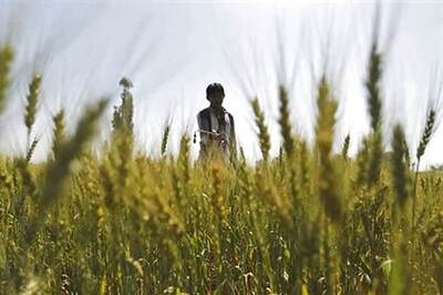 Delhi: Farmers to sell directly in new mall