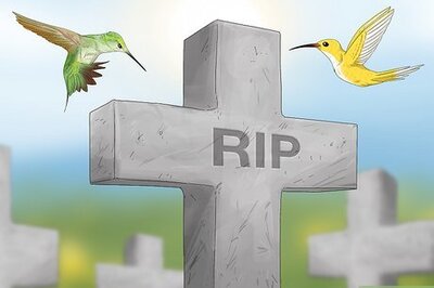 What Does Seeing a Hummingbird Symbolize about Death?