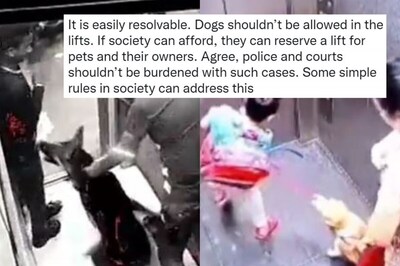 Pet Parents in Housing Societies Under Fire After Dog Attacks in Ghaziabad, Noida and Mumbai