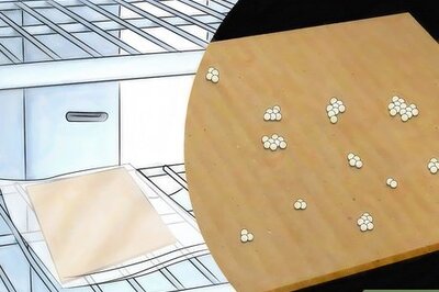 10 Ways to Breed Silkworms