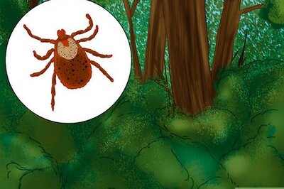 How to Prevent Tick Bites While Camping