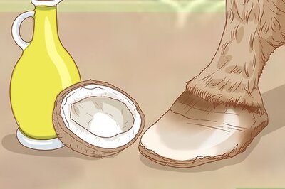 How to Make Hoof Oil
