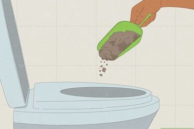 Quick & Eco-Friendly Ways to Eliminate Flies in a Compost Toilet