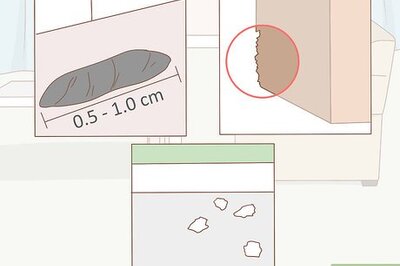 How to Prevent Hantavirus Pulmonary Syndrome (HPS)