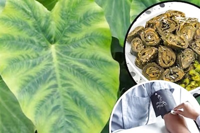 7 Health Benefits of Taro Leaves, A Nutrient Powerhouse