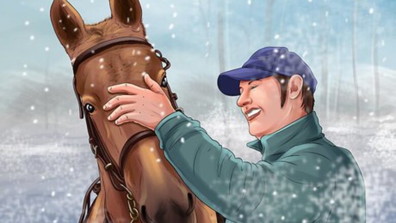 How to Exercise Horses in Cold Weather