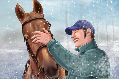 How to Exercise Horses in Cold Weather