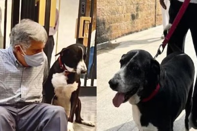 ‘Goa Is Doing Fine’: Mumbai Cop Debunks Fake News About Ratan Tata's Dog's Death