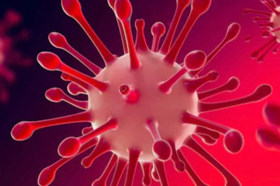 COVID-19: Gut Microbiome and Long-Term COVID Complications are Interlinked, Says Study