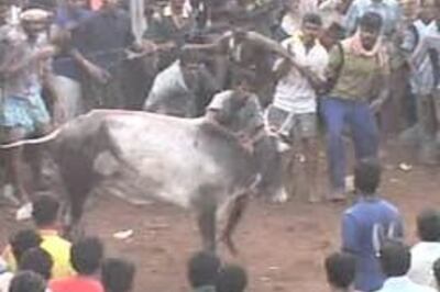 55 injured in Jallikattu bull run