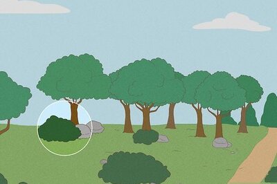 Discreet and Comfortable Ways to Pee Outside as a Woman