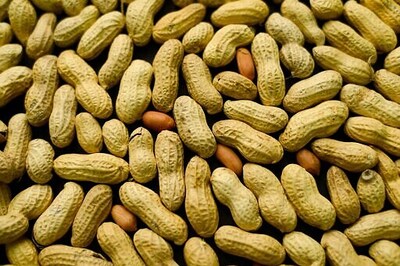 Early Treatment Could Tame Peanut Allergies In Small Kids