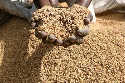 Delhi Fair Price Shops Told to Distribute Rations for June Manually