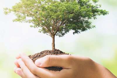 International Day of Plant Health 2022: History, Significance and All You Need to Know