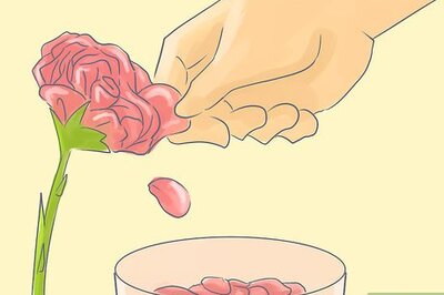 How to Make Rose Essence Powder