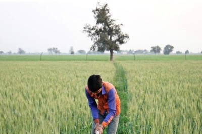 Opinion | Untimely Rainfall: Why Adaptation to Climate Change is Vital for Farmers