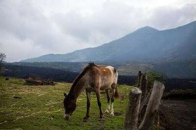 Lava From Guatemala's Pacaya Volcano Threatens Towns